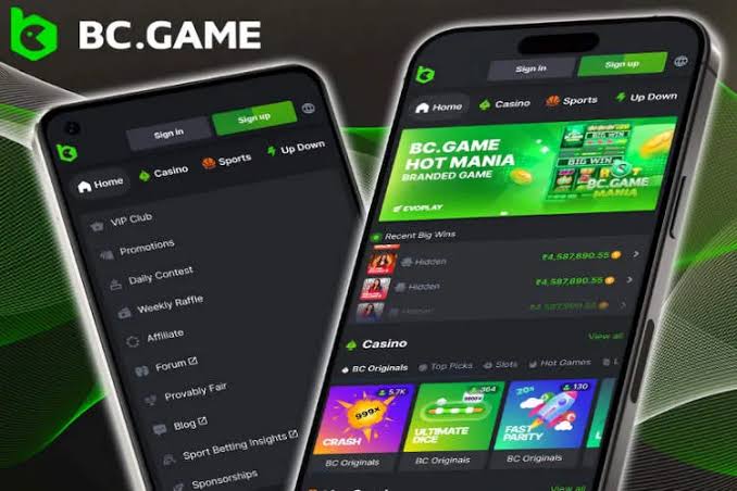 The Thrilling World of the BC Hash Game A New Era in Crypto Casinos The Thrilling World of the BC Hash Game A New Era in Crypto Casinos